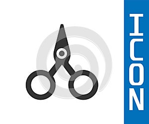 Grey Scissors icon isolated on white background. Cutting tool sign. Vector