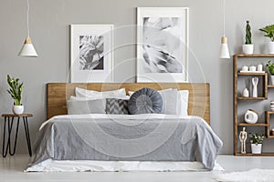 Grey sheets on wooden bed next to table with plant in bedroom interior with posters. Real photo