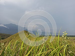 The Grey Sky hide a Cyclop Mountain, Jayapura, Indonesia photo