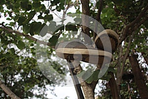 Grey Sneakers In Tree