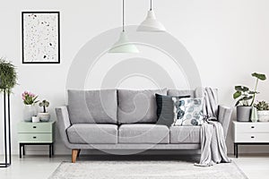 Grey sofa between cabinets with plants in white living room interior with lamps and poster. Real photo