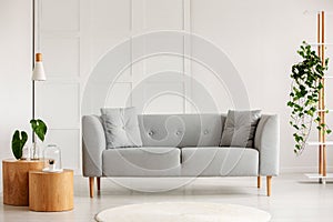 Grey sofa in the center of living room