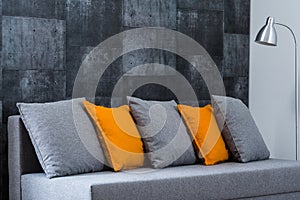 Grey sofa in living room