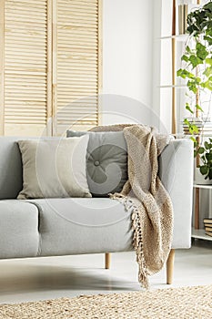 Grey sofa in modern living room