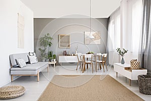 Grey sofa near white chairs at dining table in bright living room interior with brown carpet. Real photo