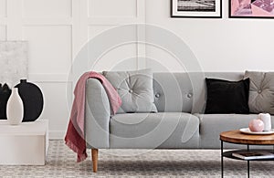 Grey sofa with pillows in elegant living room with scandinavian design