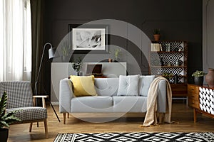 Grey sofa with pillows standing in dark living roo