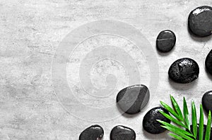 Grey spa background, palm leaves and black wet stones, top view