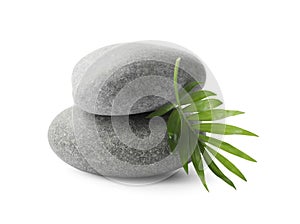 Grey spa stones and tropical leaf on white background