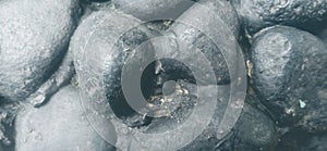 Grey stone put on the wall