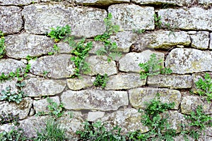 Grey stone wall background with green grass