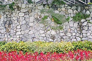 Grey stone wall with plant and flower