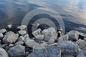 Grey stones near blue water of rhe river photo