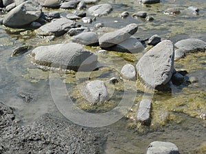 Grey stones on the river