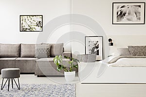 Grey stool in front of a corner sofa in open space interior with