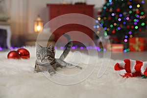 Grey tabby cat on fuzzy carpet in room decorated for Christmas