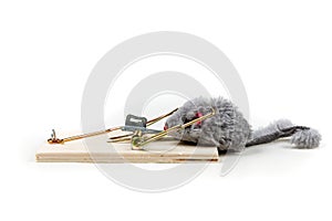 Grey toy mouse prowling around a wood mouse trap