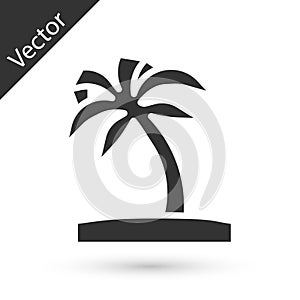 Grey Tropical palm tree icon isolated on white background. Coconut palm tree. Vector