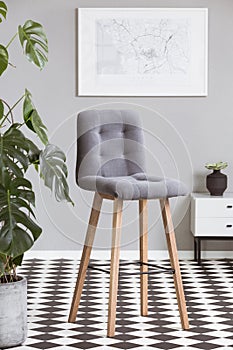 Grey velvet chair in fashionable living rom interior with green plant and black and white floor