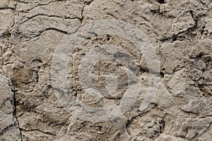 Grey wall rustic textured background with a different convexities