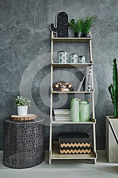 Grey wall stucco and bookshelf