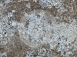 Grey wall texture or background, stone