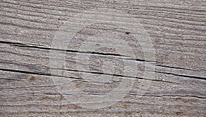 Grey weathered wood texture showing cracks and growth rings