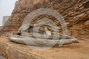 Grey whale jawbone