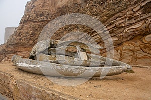 Grey whale jawbone photo