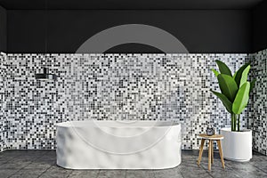 Grey and white bathroom with bathtub and plant on tiled floor