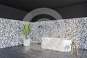 Grey and white bathroom with bathtub and plant on tiled floor