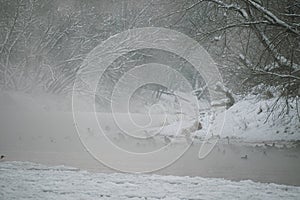 Grey winter morning on a riverside