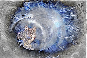 Grey Wolf Fine Art / Greeting Card Background