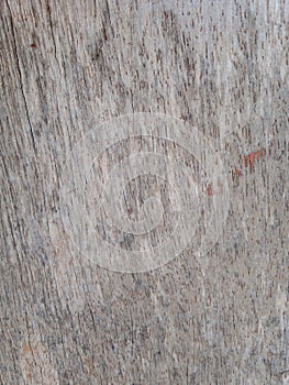 Grey wood texture background with natural pattern, old wooden grunge background.