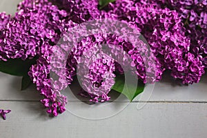 Grey wooden background with flowering lilac branches