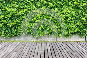 Grey wooden decking and wall of plant in garden decoration. Free