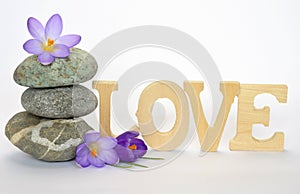 Grey zen stones with bamboo en crocus on empty white background