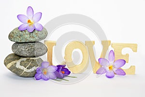 Grey zen stones with bamboo en crocus on empty white background