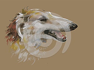Greyhound animal dog watercolor illustration