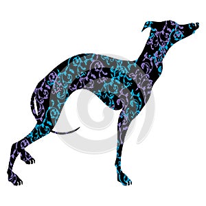 Greyhound dog breed vector illustration. Elegant silhouette of a Greyhound dog with an ornament.