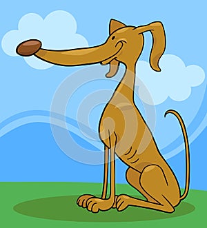 Greyhound dog cartoon illustration