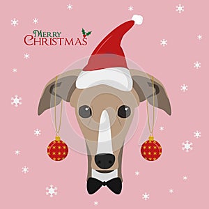 Greyhound dog with red Santa`s hat and