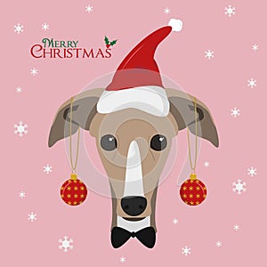 Greyhound dog with red Santa`s hat and photo