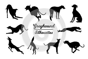 Greyhound dog silhouettes.