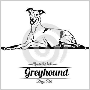 Greyhound Dog - vector illustration for t-shirt, logo and template badges