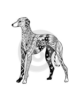 Greyhound dog zentangle stylized. Freehand vector illustration.