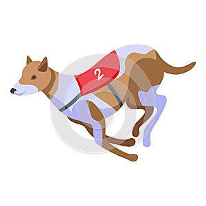 Greyhound racing icon isometric vector. Animal pet