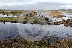 Greylake RSPB Reserve