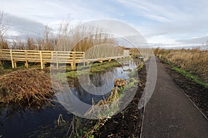 Greylake RSPB Reserve