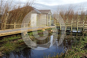 Greylake RSPB Reserve